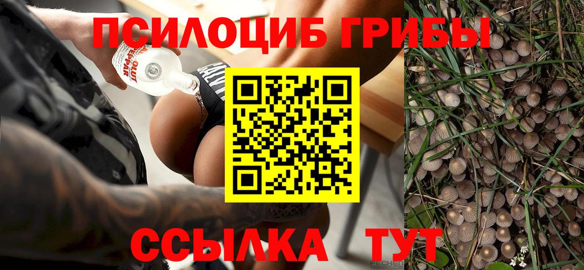 Галлюциногенные грибы прущие грибы  Псилоцибиновые грибы мухоморы  Нальчик  Вход с VPN 